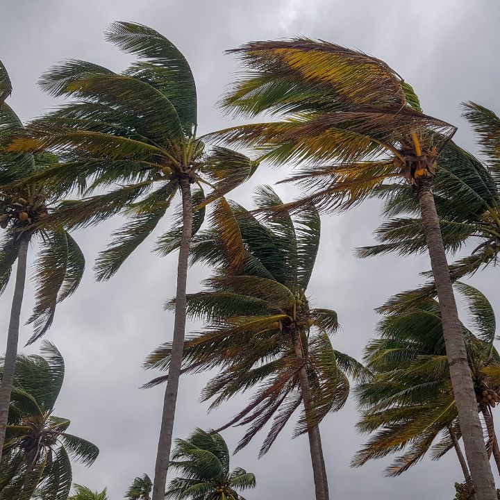 hurricanes make wind mitigation inspections important in miami florida